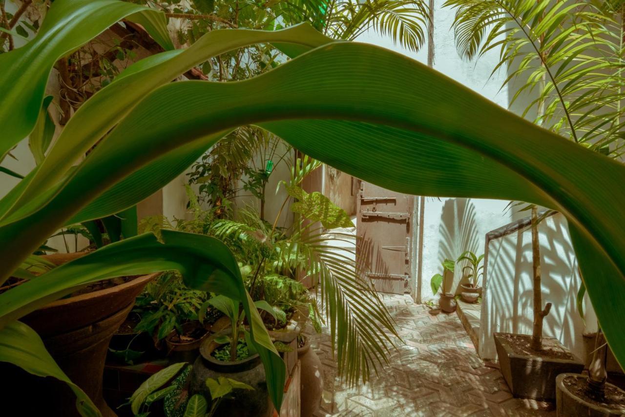 Malindi Guest House Zanzibar Exterior foto